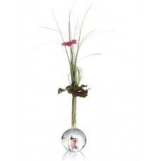 Fotovaas voor meerdere bloemen (2009)